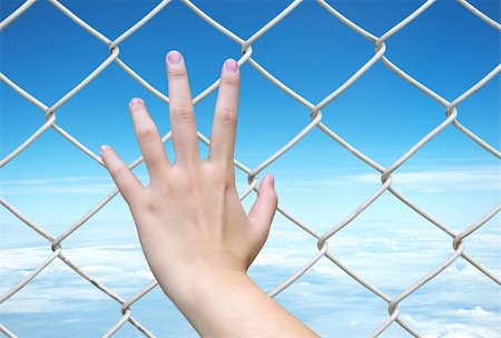 hand holding on chain link fence Stock Photo - Budget Royalty-Free & Subscription, Code: 400-05694166
