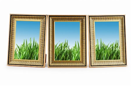 simsearch:400-05731622,k - Green grass in the picture frames Stock Photo - Budget Royalty-Free & Subscription, Code: 400-05695393