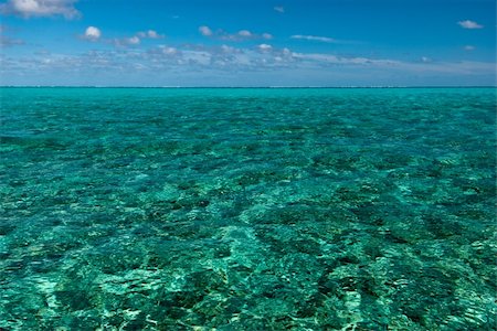 fiona_ayerst (artist) - A paradisical seascape, Bassas Da India, Mozambique Photographie de stock - Aubaine LD & Abonnement, Code: 400-05695432