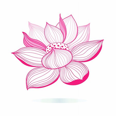 drawing of a beautiful flower - beautiful bright pink lotus graphic on a white background Stock Photo - Budget Royalty-Free & Subscription, Code: 400-05695637