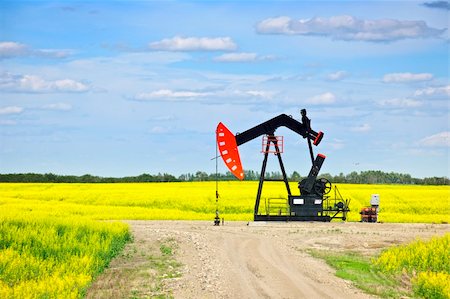 simsearch:400-08161743,k - Oil pumpjack or nodding horse pumping unit in Saskatchewan prairies, Canada Fotografie stock - Microstock e Abbonamento, Codice: 400-05695966