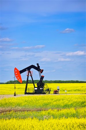 Oil pumpjack or nodding horse pumping unit in Saskatchewan prairies, Canada Foto de stock - Super Valor sin royalties y Suscripción, Código: 400-05695974