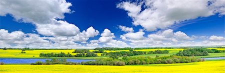 elenathewise (artist) - Panoramic landscape prairie view of canola field and lake in Saskatchewan, Canada Stock Photo - Budget Royalty-Free & Subscription, Code: 400-05695980