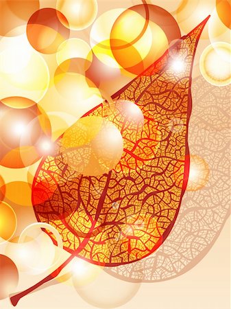 eps 10, vector autumn leaf and bright balls Stock Photo - Budget Royalty-Free & Subscription, Code: 400-05696461