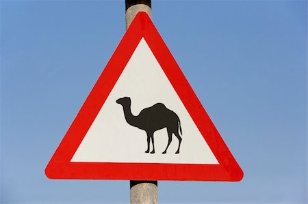 dubai sign - Beware Of Camel Sign In Dubai Stock Photo - Budget Royalty-Free & Subscription, Code: 400-05696881