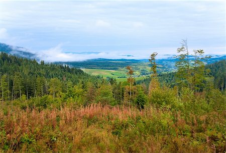 simsearch:400-04306537,k - September Carpathian mountain hill and cloudy morning view behind. Stock Photo - Budget Royalty-Free & Subscription, Code: 400-05697384