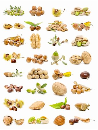 mixed nuts gathered in  collection isolated on white background Foto de stock - Super Valor sin royalties y Suscripción, Código: 400-05698312