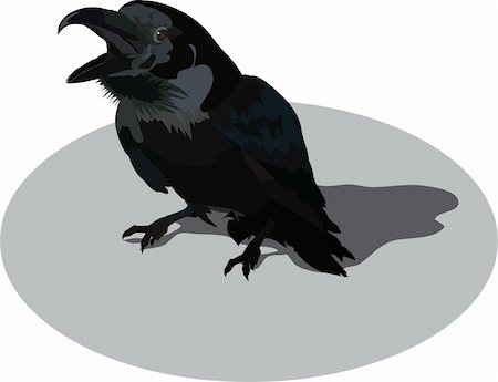 raven crow vector - raven Stock Photo - Budget Royalty-Free & Subscription, Code: 400-05698461