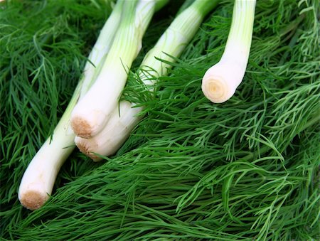 simsearch:400-05919877,k - Fresh green dill and onion. Stock Photo - Budget Royalty-Free & Subscription, Code: 400-05698907
