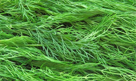 simsearch:400-05919877,k - Fresh green dill Stock Photo - Budget Royalty-Free & Subscription, Code: 400-05698910