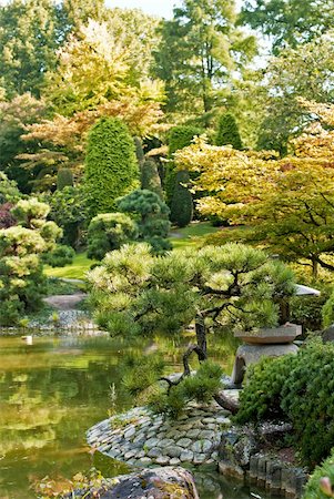 Japanese garden in early autumn, sunny and fresh Stock Photo - Budget Royalty-Free & Subscription, Code: 400-05699031