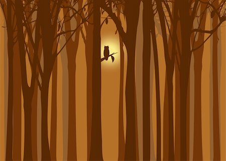 simsearch:400-06179170,k - Halloween illustration autumn forest with owl Stock Photo - Budget Royalty-Free & Subscription, Code: 400-05699981
