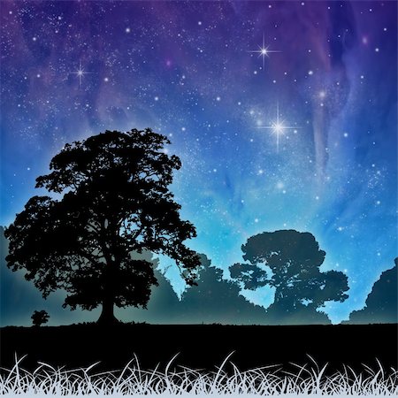 simsearch:400-04939581,k - A Country Meadow Landscape with Trees and Night Sky Photographie de stock - Aubaine LD & Abonnement, Code: 400-05690406