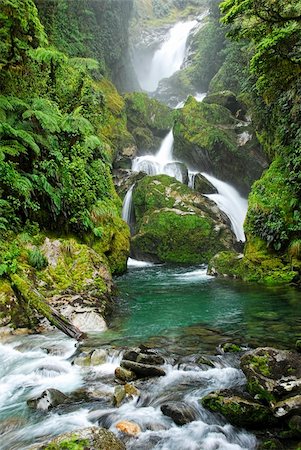 simsearch:400-09221855,k - Mackay Falls, Day 3 of the Milford Track, South Island, New Zealand Stock Photo - Budget Royalty-Free & Subscription, Code: 400-05690408