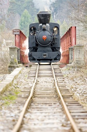 slovakia - last day of service of CKD steam locomotive n. 5 (1.4.2008), Ciernohronska Railway, Slovakia Stock Photo - Budget Royalty-Free & Subscription, Code: 400-05690631