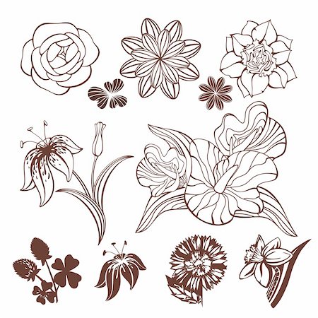 set of different cute flowers vector illustration Stock Photo - Budget Royalty-Free & Subscription, Code: 400-05692117