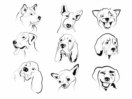 Set of different dog?s friendly graphic faces sketches. Photographie de stock - Aubaine LD & Abonnement, Code: 400-05693033
