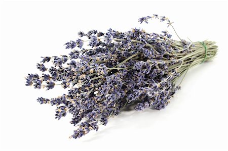 simsearch:400-05372314,k - a bundle of dried lavender on a white background Stockbilder - Microstock & Abonnement, Bildnummer: 400-05693730