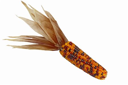 simsearch:400-04360457,k - Dried Indian Corn isolated on white background Photographie de stock - Aubaine LD & Abonnement, Code: 400-05693764