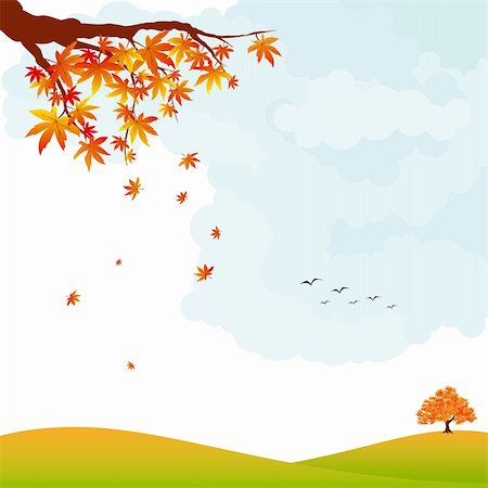flying bird with tree - Autumn landscape colorful maple leaf and tree Photographie de stock - Aubaine LD & Abonnement, Code: 400-05704211
