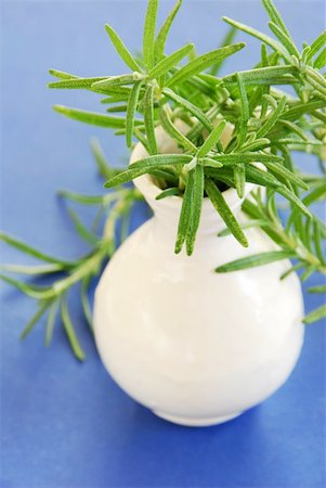 rosemary sprig - fresh rosemary green sprigs in white vase over blue background Stock Photo - Budget Royalty-Free & Subscription, Code: 400-05704715