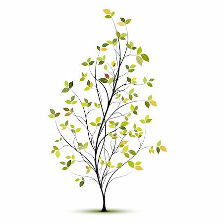 simsearch:400-05704843,k - yound green tree silhouette with leaves and shadow Stockbilder - Microstock & Abonnement, Bildnummer: 400-05704843