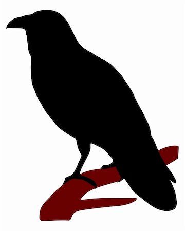 raven crow vector - Raven Silhouette Stock Photo - Budget Royalty-Free & Subscription, Code: 400-05705075