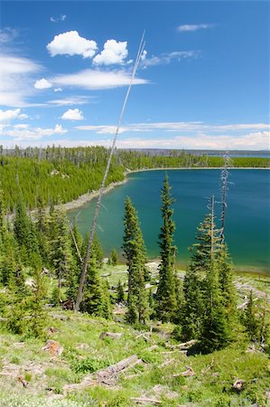 simsearch:400-05351326,k - Duck Lake on a sunny day in Yellowstone National Park of Wyoming, USA. Foto de stock - Royalty-Free Super Valor e Assinatura, Número: 400-05705160