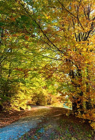 simsearch:400-07255480,k - Autumn mountain dirty road and beautiful October beech forest (Carpathian, Ukraine). Stock Photo - Budget Royalty-Free & Subscription, Code: 400-05705524