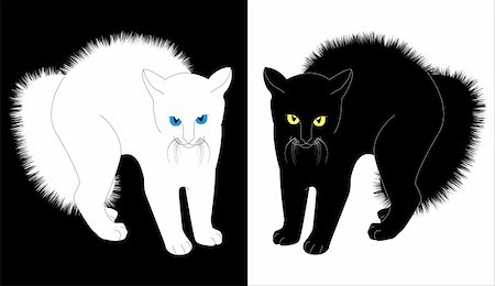 scary black cat - Vector image of white and black angry cats Stock Photo - Budget Royalty-Free & Subscription, Code: 400-05706375