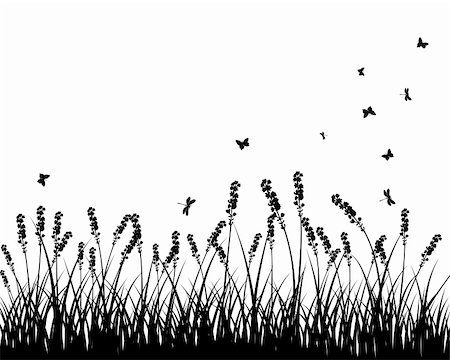simsearch:400-05248467,k - Vector grass silhouettes background. All objects are separated. Foto de stock - Royalty-Free Super Valor e Assinatura, Número: 400-05706585