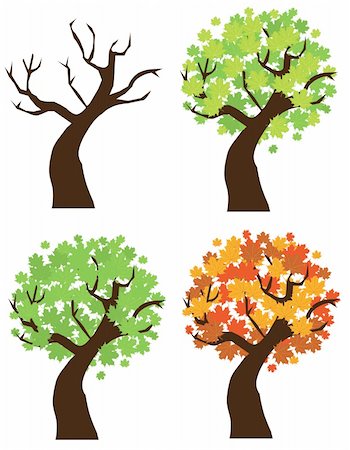 Vector illustration of maple trees Stock Photo - Budget Royalty-Free & Subscription, Code: 400-05706611