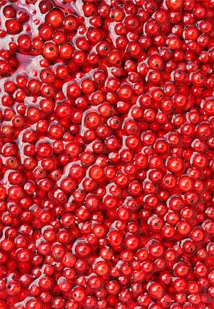 simsearch:400-06387340,k - Fresh red currant berries in water - background Foto de stock - Super Valor sin royalties y Suscripción, Código: 400-05707854
