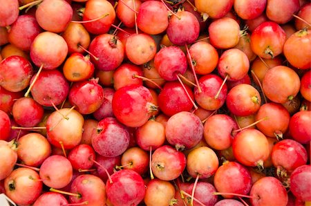 simsearch:400-05033339,k - Ripe apples colorful bunch. Fruit background. Stock Photo - Budget Royalty-Free & Subscription, Code: 400-05709334