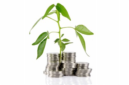simsearch:400-04370317,k - Green plant growing from the coins. Money financial concept Stock Photo - Budget Royalty-Free & Subscription, Code: 400-05709398