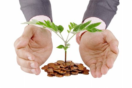 Businessman protecting plant sprouting from a pile of coins - good investment and money concept Stock Photo - Budget Royalty-Free & Subscription, Code: 400-05709403