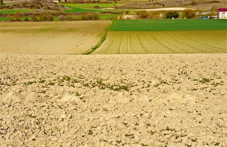 simsearch:400-04380170,k - Freshly Plowed Field in Spring Ready for Cultivation Stock Photo - Budget Royalty-Free & Subscription, Code: 400-05709477