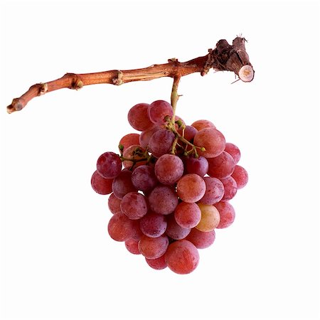 grapes - traminer Stock Photo - Budget Royalty-Free & Subscription, Code: 400-05701012