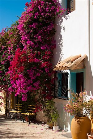 simsearch:400-06083036,k - Mediterranean village street with flowering bougainvillea bushes Stock Photo - Budget Royalty-Free & Subscription, Code: 400-05701840