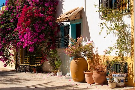 simsearch:400-06083036,k - Mediterranean village street with flowering bougainvillea bushes Stock Photo - Budget Royalty-Free & Subscription, Code: 400-05701841