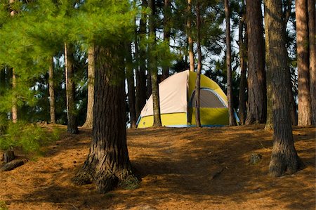 Tent Camping  in the Woods at a Wilderness Campsite Fotografie stock - Microstock e Abbonamento, Codice: 400-05701851