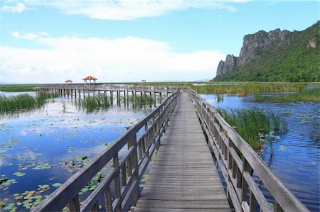 empty bridge - Wooden boardwalk through lake in in Sam Roi Yod National Park, Thailand Stock Photo - Budget Royalty-Free & Subscription, Code: 400-05702896