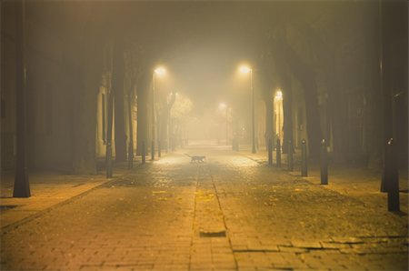 Night urban landscape with fog and black cat Stock Photo - Budget Royalty-Free & Subscription, Code: 400-05702938