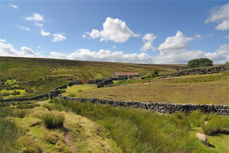 stone walls in meadows - The green English Countryside in Yorkshire moorlands. Stock Photo - Budget Royalty-Free & Subscription, Code: 400-05703538