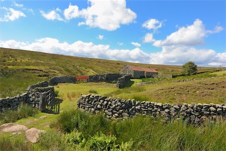 stone walls in meadows - The green English Countryside in Yorkshire moorlands. Stock Photo - Budget Royalty-Free & Subscription, Code: 400-05703540