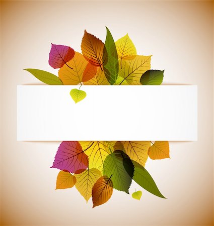 simsearch:400-04221461,k - Fall leafs abstract background with place for your text Stock Photo - Budget Royalty-Free & Subscription, Code: 400-05715709