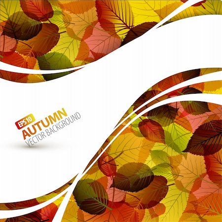 Colorful vector autumn background with place for your text Stock Photo - Budget Royalty-Free & Subscription, Code: 400-05715737