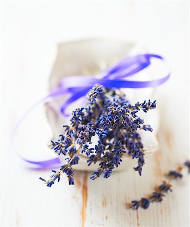 dried flower - Bunch of dried lavender tied with satin ribbon Photographie de stock - Aubaine LD & Abonnement, Code: 400-05716636