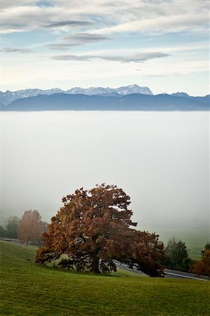 simsearch:400-08035898,k - An image of a nice autumn landscape with the alps in the background Stock Photo - Budget Royalty-Free & Subscription, Code: 400-05718025