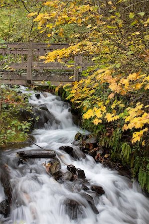 simsearch:400-09221855,k - Wooden Bridge over Wahkeena Creek Falls in Columbia River Gorge Stock Photo - Budget Royalty-Free & Subscription, Code: 400-05718921